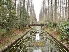 -东平国家森林公园