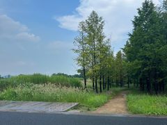 -良渚古城遗址公园