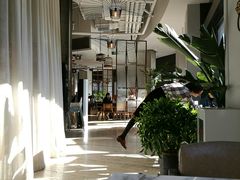 -The Rug Cafe(王府中环店)