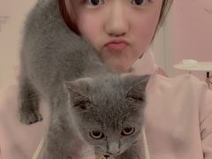 -三花喵·撸猫购宠·宠物生活馆(虹桥南丰城店)