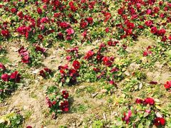 -杭州城北体育公园