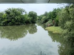 -中国湿地博物馆