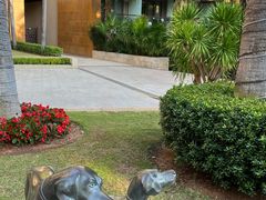 -三亚湾海居雅高铂尔曼度假酒店