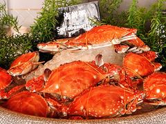 -济南凯宾斯基酒店-THE VIEW云景全日制餐厅