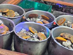 -土蚝·高压锅生蚝(百姓美食街店)