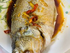 -科巷菜场