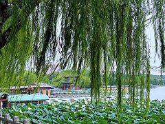 -济南大明湖景区