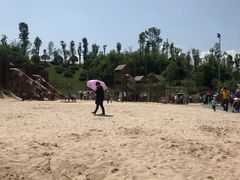 -枫香湖儿童公园