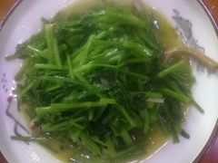 -全乐鱼馆·淳牌有机鱼直营店