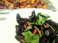爽口小木耳-乾隆美食·本帮菜(黄河路店)