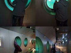 -白鹤梁水下博物馆