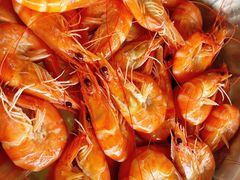 -南沙十九涌渔人码头-南门