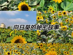 -湖南省植物园