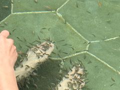 -苏州湾·王焰温泉