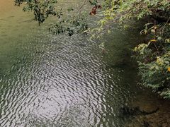 -龙湾潭国家森林公园