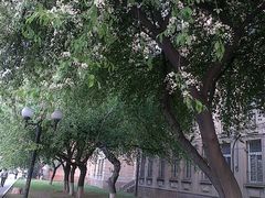 -辽宁大学(崇山校区)