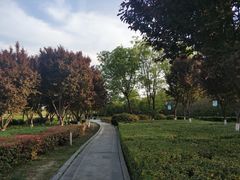 -西安汉城湖景区