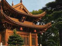 -上海东林寺(金山区)