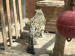 -青藏高原野生动物园