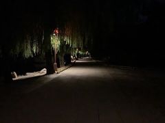 -半天妖烤鱼(丰科万达店)