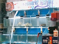 水产区-东极岛海鲜