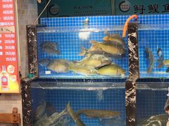 -老渔翁炖鱼坊(黄海西路东山店)