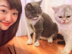 -猫小院猫主题餐厅(三里屯店)