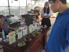 -马陆小张葡萄园农家乐