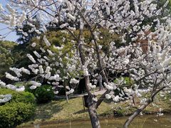 -南山风景名胜区