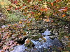 -丹东天桥沟景区