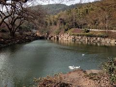 -冶父山国家森林公园