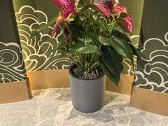 -巴音浩日娲酒楼(双林东路店)