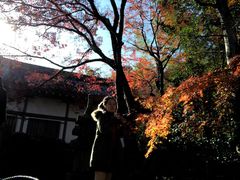 -常寂光寺