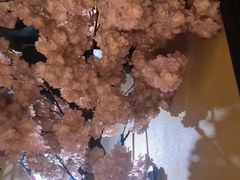 -小凤庭·地道湖北菜武昌鱼·藕汤(38年黄鹤楼店)