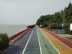 -贡湖湾湿地公园