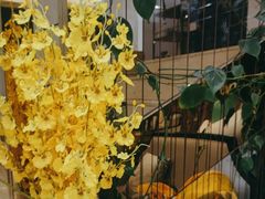 -全聚德(蓝山店)