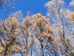 -玉渡山自然风景区