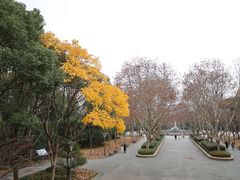 -蠡湖中央公园