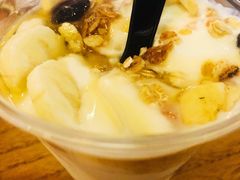 -油梨树 AVOCADO TREE(亮马桥店)