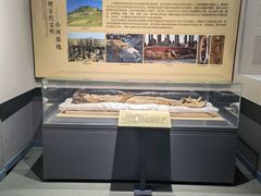 -巴音郭楞蒙古自治州博物馆