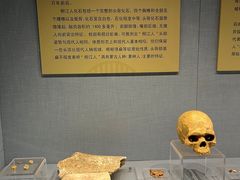 -柳州博物馆