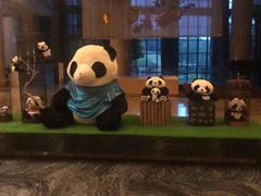 -成都保利公园皇冠假日酒店(熊猫基地店)