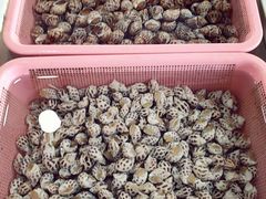 -南沙十九涌渔人码头-南门