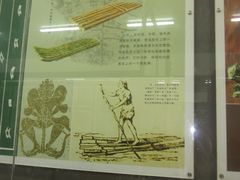 IMG_0526-海军上海博览馆