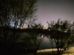 -桃花岛公园