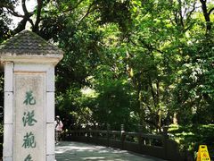 -西湖外事游船(花港观鱼码头)