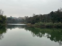 -贵阳市花溪国家城市湿地公园