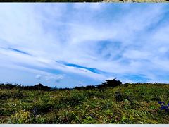 -秦岭风景区