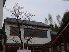 -莫干山风景区