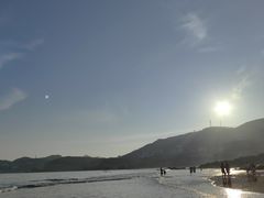 -枸杞岛